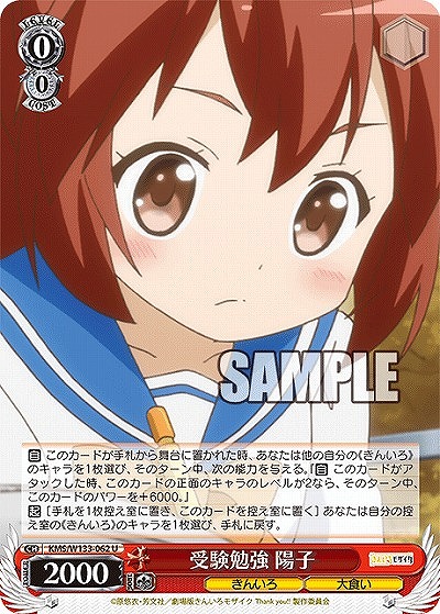 受験勉強 陽子 【KMS/W133-062U】